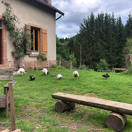 A L'Oree De Soi - Maison Forestiere De La Soie - Eco Gite, Chambres D'Hotes, Camping Au Pied Des Vosges Saint-Sauveur  Eksteriør billede