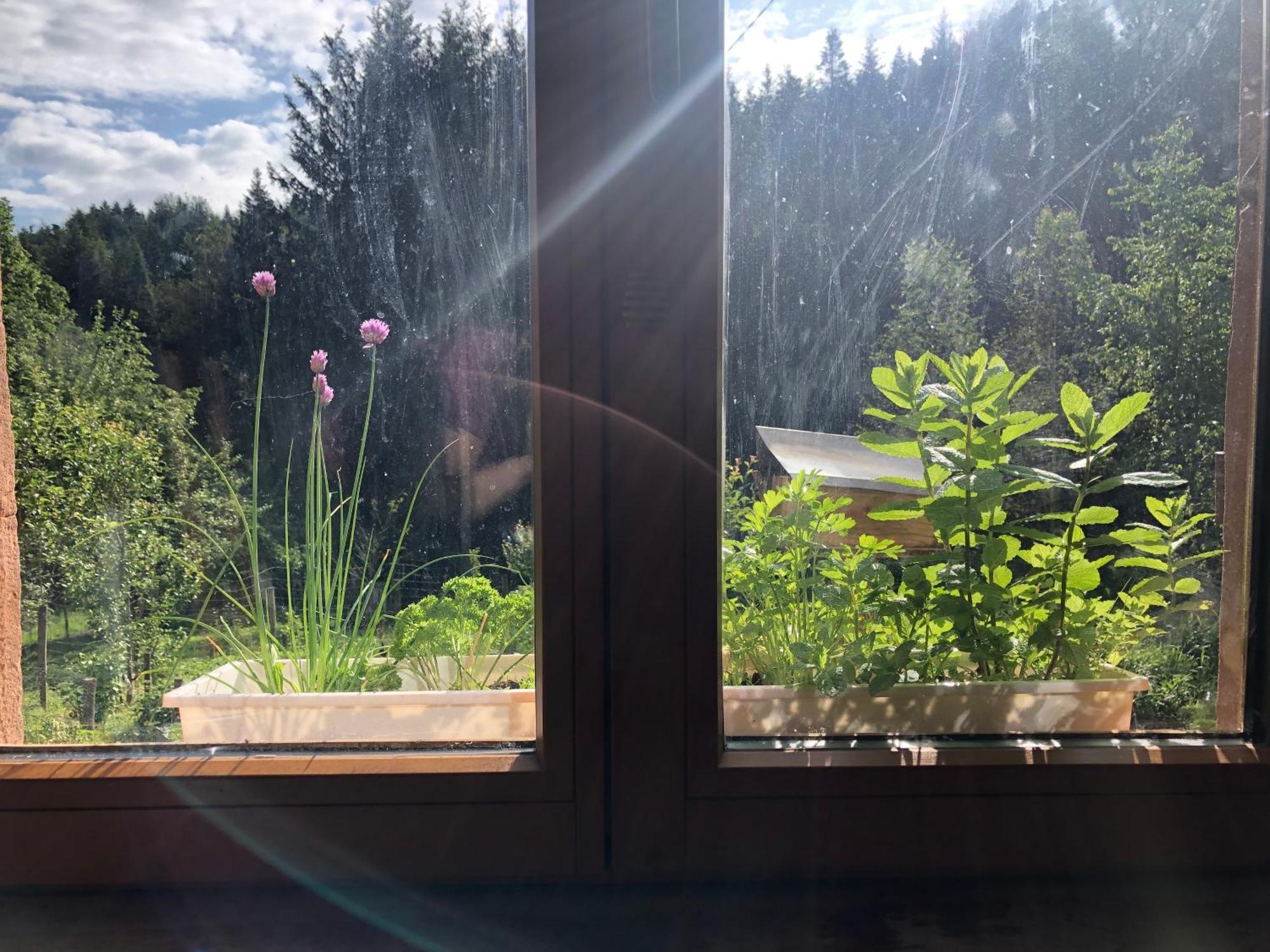 A L'Oree De Soi - Maison Forestiere De La Soie - Eco Gite, Chambres D'Hotes, Camping Au Pied Des Vosges Saint-Sauveur  Eksteriør billede