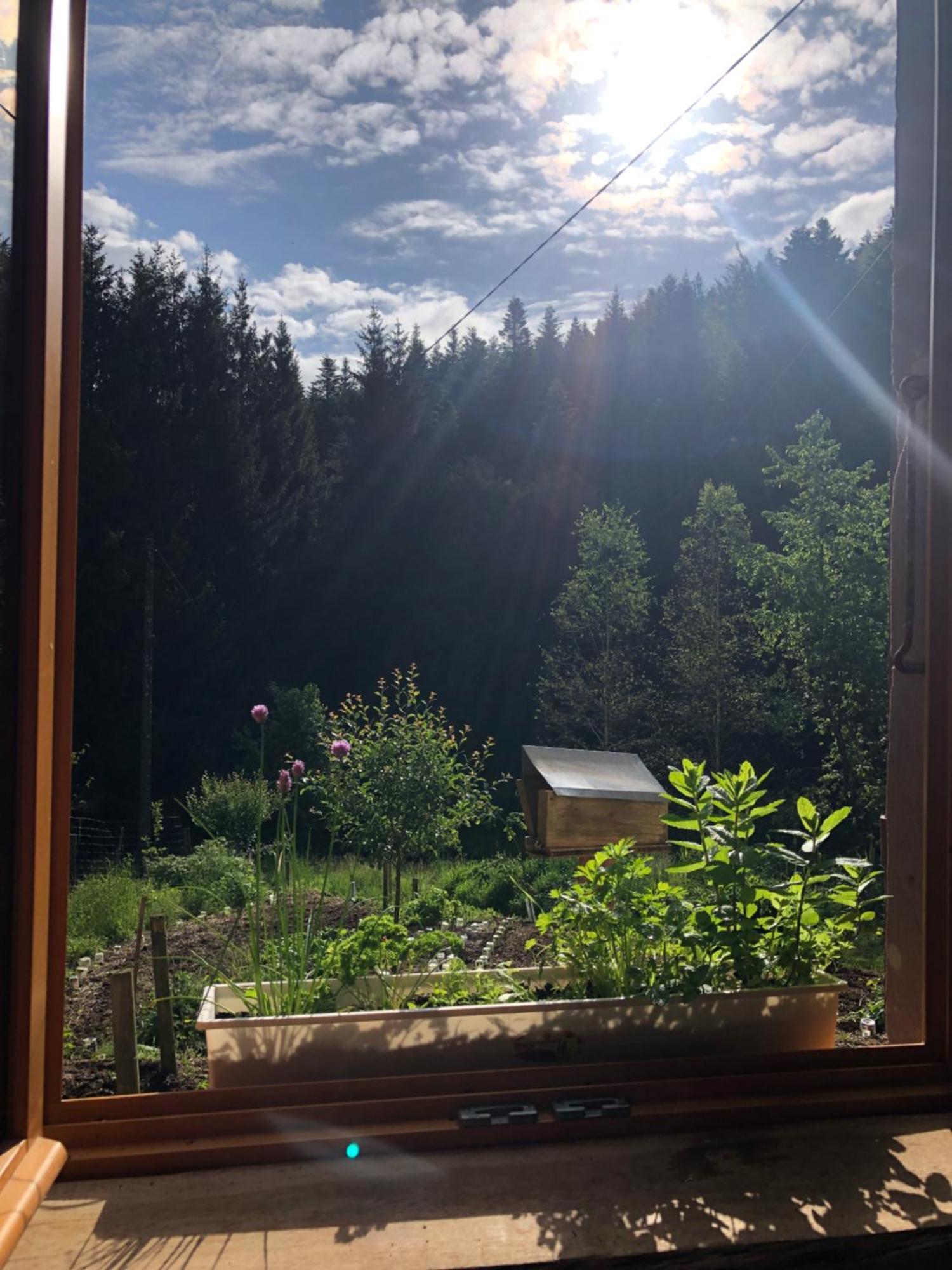 A L'Oree De Soi - Maison Forestiere De La Soie - Eco Gite, Chambres D'Hotes, Camping Au Pied Des Vosges Saint-Sauveur  Eksteriør billede