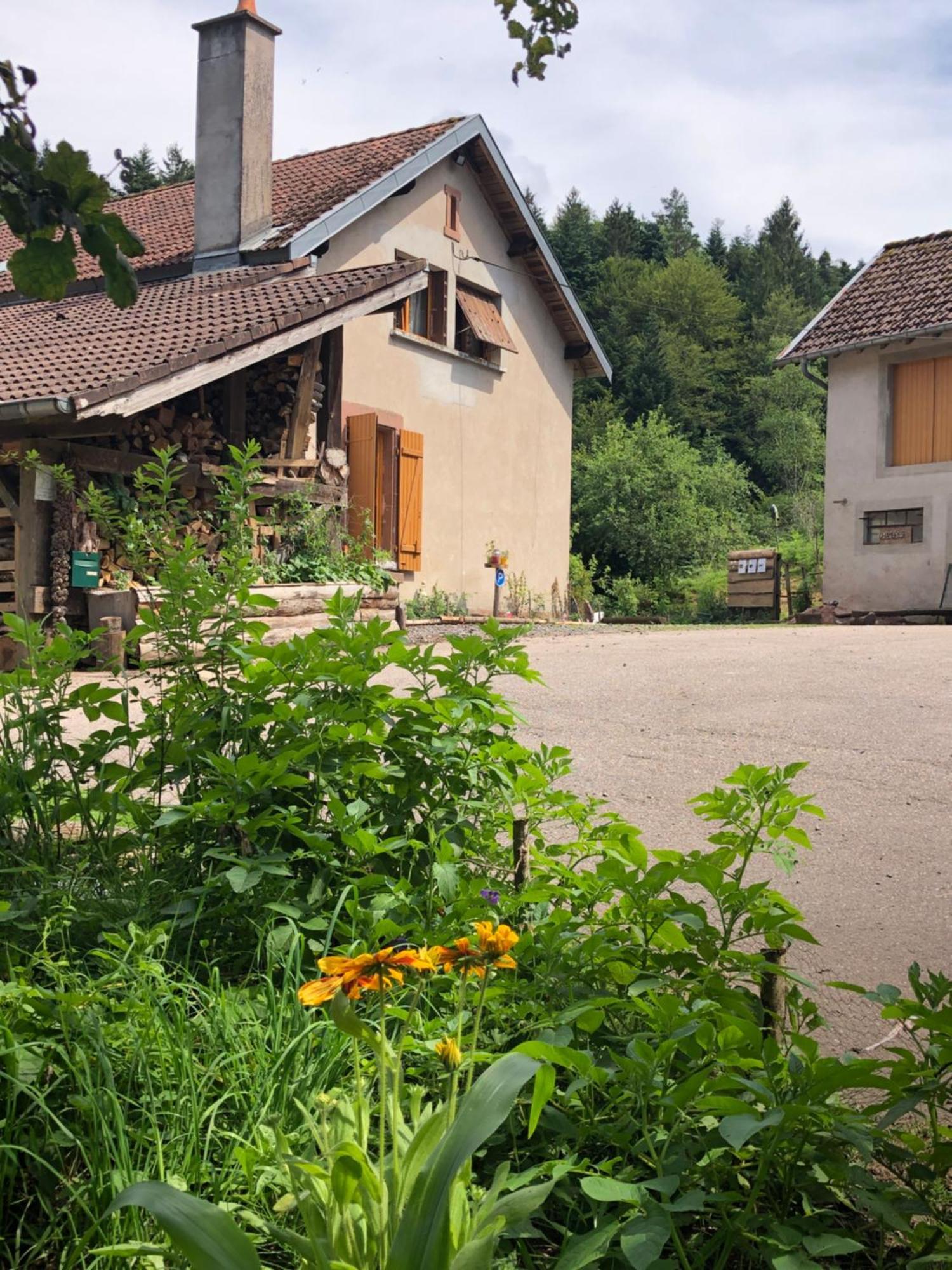 A L'Oree De Soi - Maison Forestiere De La Soie - Eco Gite, Chambres D'Hotes, Camping Au Pied Des Vosges Saint-Sauveur  Eksteriør billede