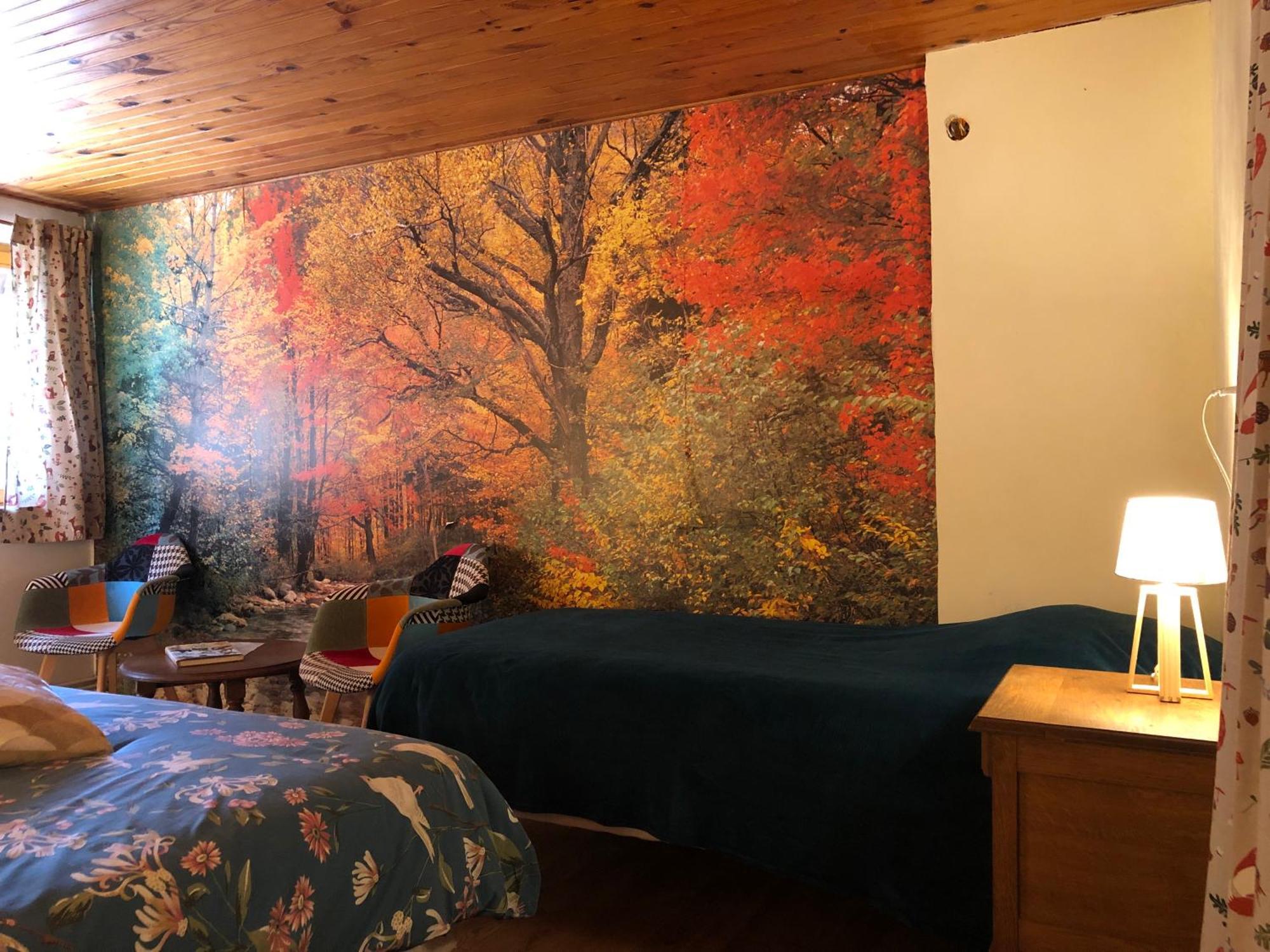 A L'Oree De Soi - Maison Forestiere De La Soie - Eco Gite, Chambres D'Hotes, Camping Au Pied Des Vosges Saint-Sauveur  Eksteriør billede