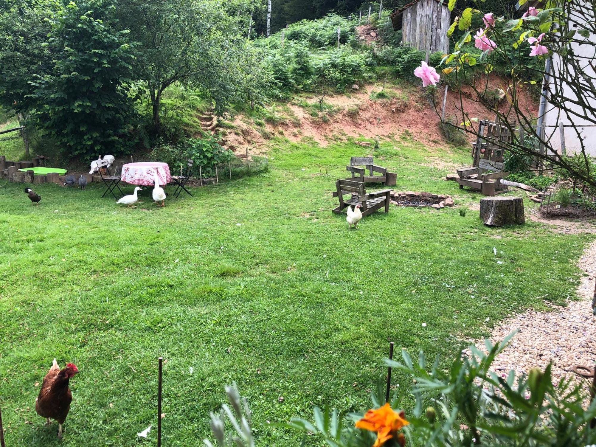 A L'Oree De Soi - Maison Forestiere De La Soie - Eco Gite, Chambres D'Hotes, Camping Au Pied Des Vosges Saint-Sauveur  Eksteriør billede